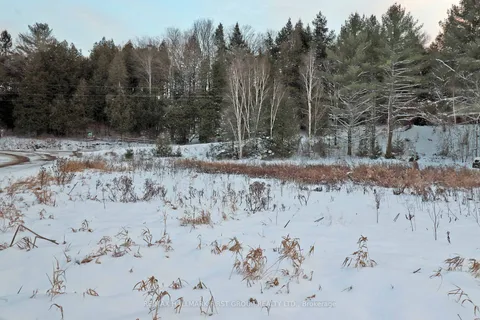 Pt Lt 3 Rapids Rd, Tweed, ON K0K 3J0