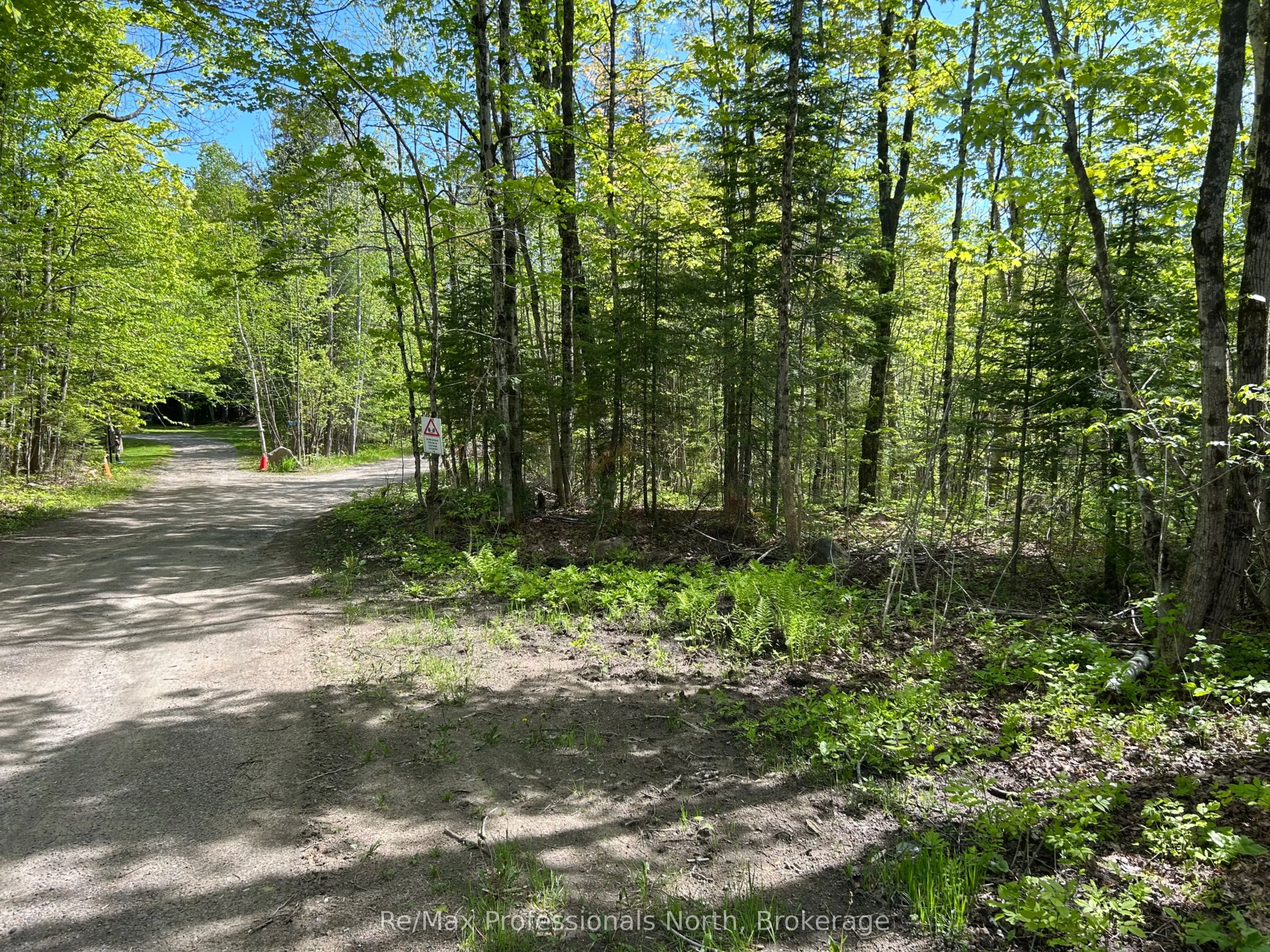 0 Sharon Lake Drive, Minden Hills, ON K0M 2K0