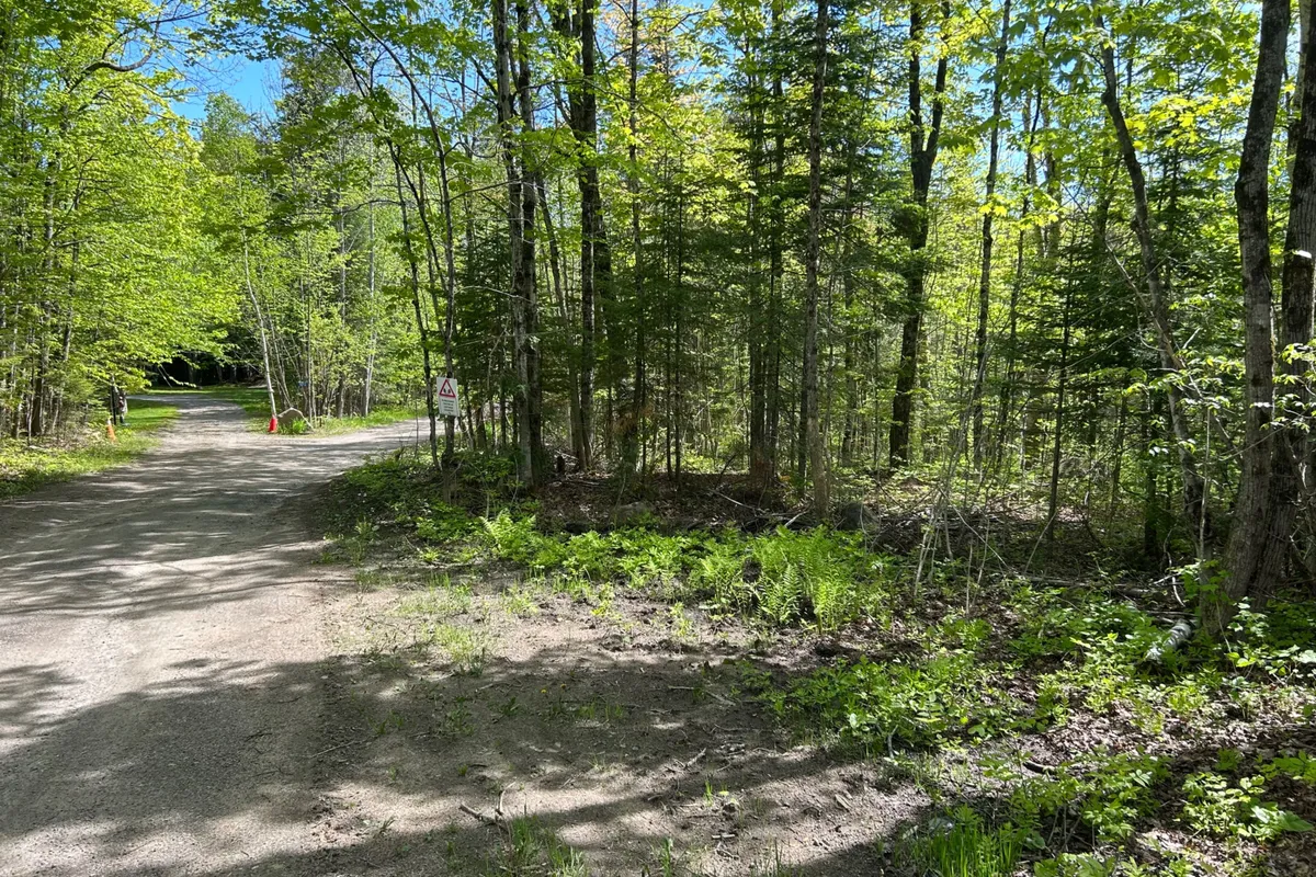 0 Sharon Lake Drive, Minden Hills, ON K0M 2K0