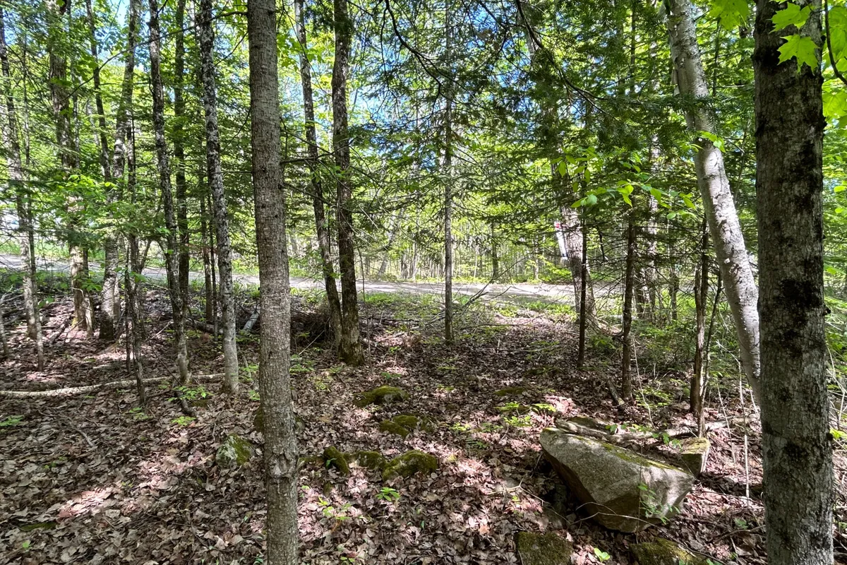 0 Sharon Lake Drive, Minden Hills, ON K0M 2K0