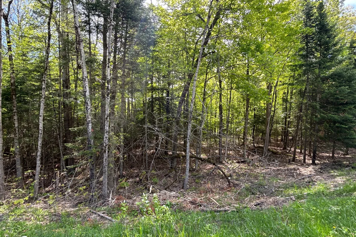 0 Sharon Lake Drive, Minden Hills, ON K0M 2K0