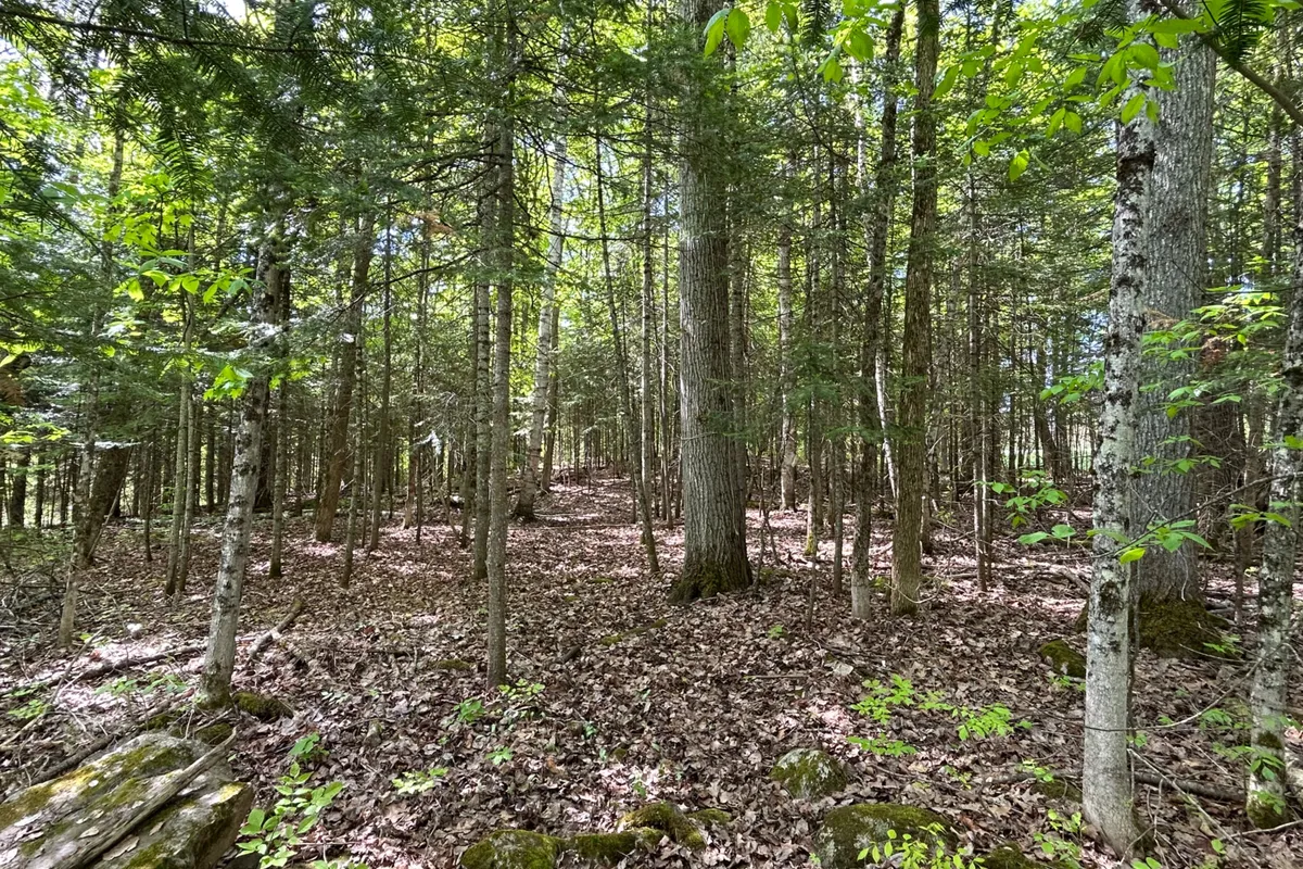 0 Sharon Lake Drive, Minden Hills, ON K0M 2K0