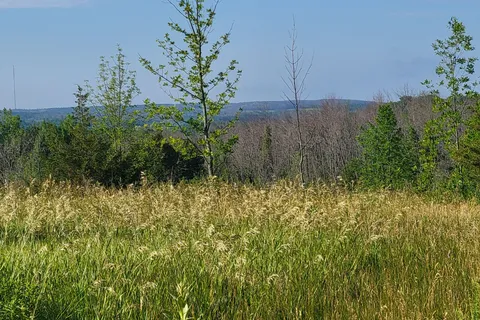 0 Curtis Point Road, Alnwick/Haldimand, ON K0K 2X0