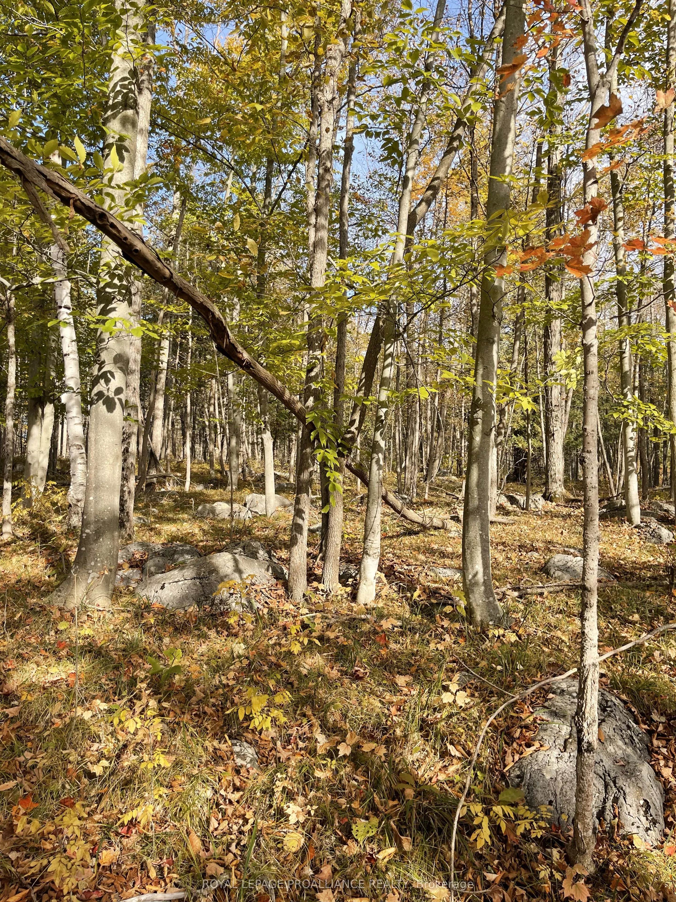 0 Marlbank Rd N/A, ON K0K 3J0