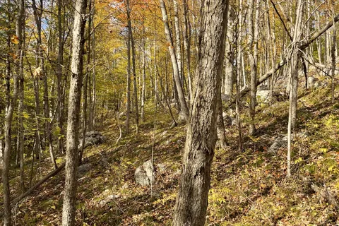 0 Marlbank Rd N/A, ON K0K 3J0