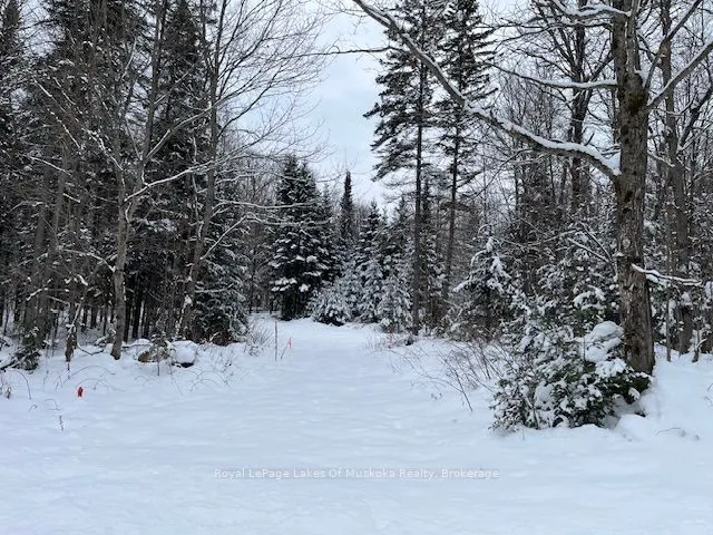 0 Whitney Rd, Perry, ON P0B 1J0