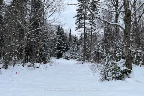 0 Whitney Rd, Perry, ON P0B 1J0