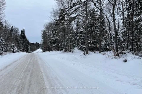 0 Whitney Rd, Perry, ON P0B 1J0