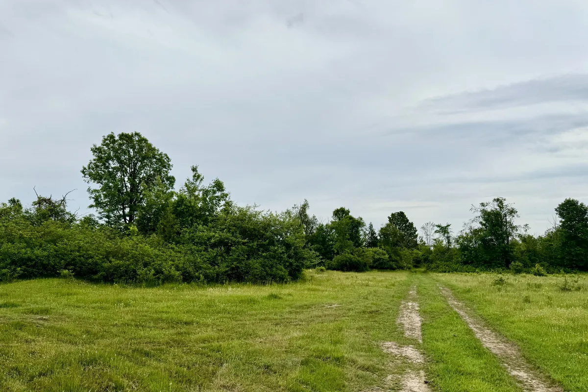 00 Cooper Road, Madoc, ON K0K 2K0