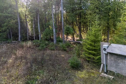 17 Fowlie Road, Northern Bruce Peninsula, ON N0H 1W0