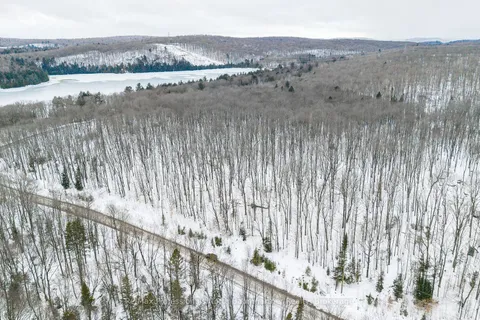 24 Ross Lake Rd, Dysart et al, ON K0M 1S0