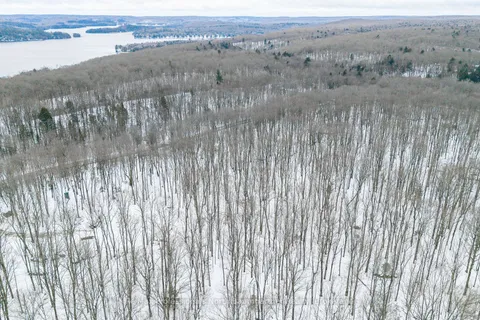 24 Ross Lake Rd, Dysart et al, ON K0M 1S0