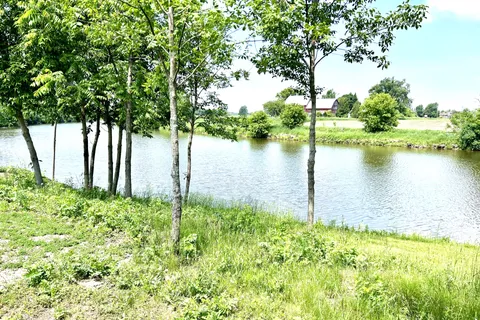 67 Erin Avenue, North Dundas, ON K0C 1H0