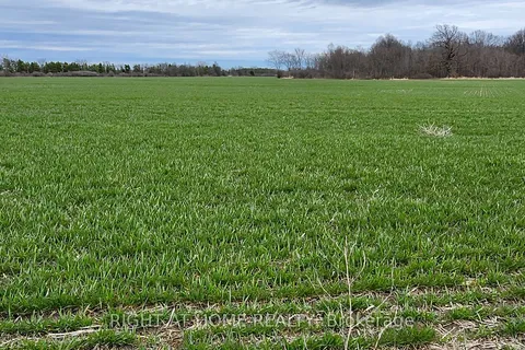 2606 (PT 2) - Burger Rd, Fort Erie, ON L0S 1S0