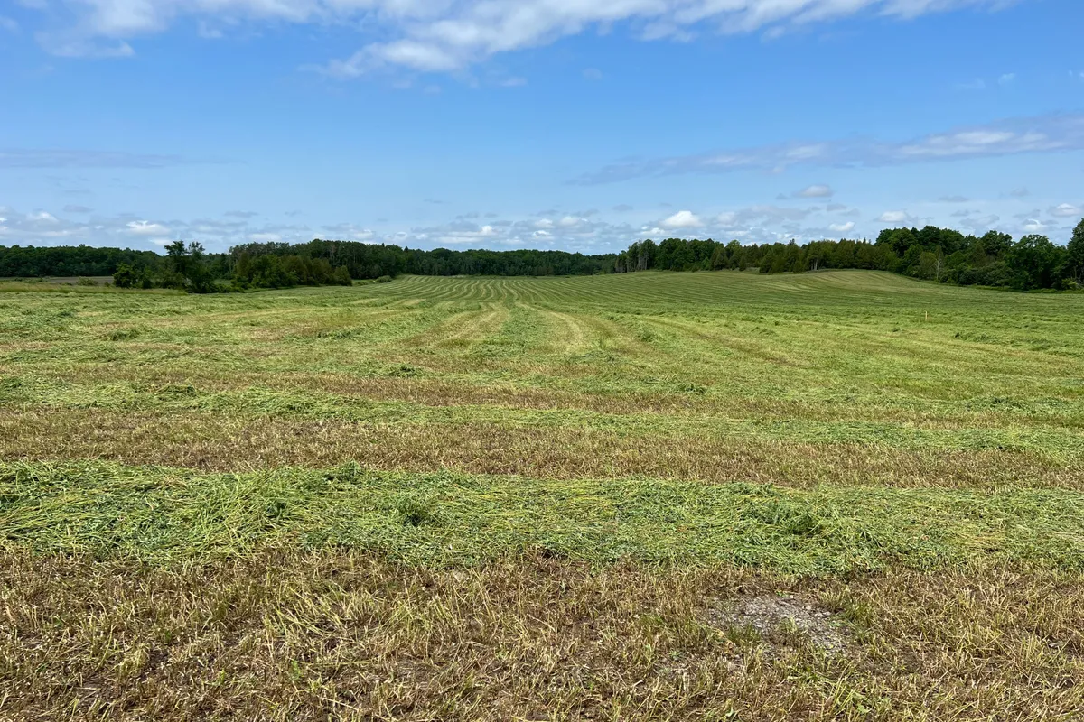 10 Concession 10 N/A, ON K0C 1H0