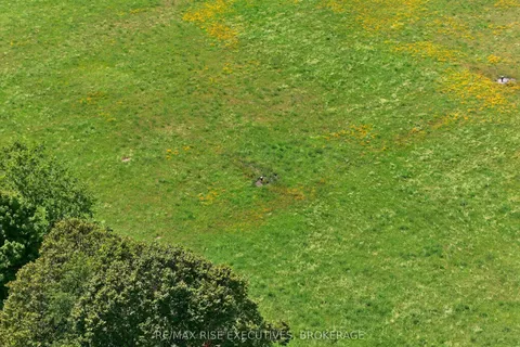 Lot 2 School Road, Stone Mills, ON K0K 1Z0