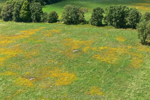 Lot 2 School Road, Stone Mills, ON K0K 1Z0