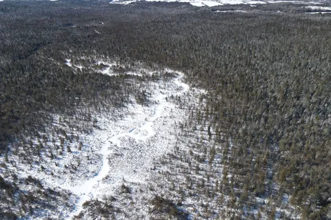 Lot 14 Killarney Bay Rd, Kawartha Lakes, ON K0M 1G0