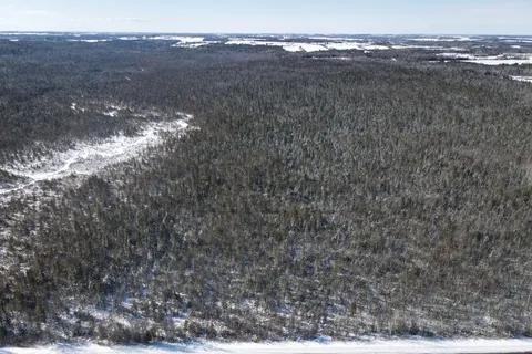 Lot 14 Killarney Bay Rd, Kawartha Lakes, ON K0M 1G0