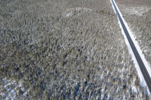 Lot 14 Killarney Bay Rd, Kawartha Lakes, ON K0M 1G0