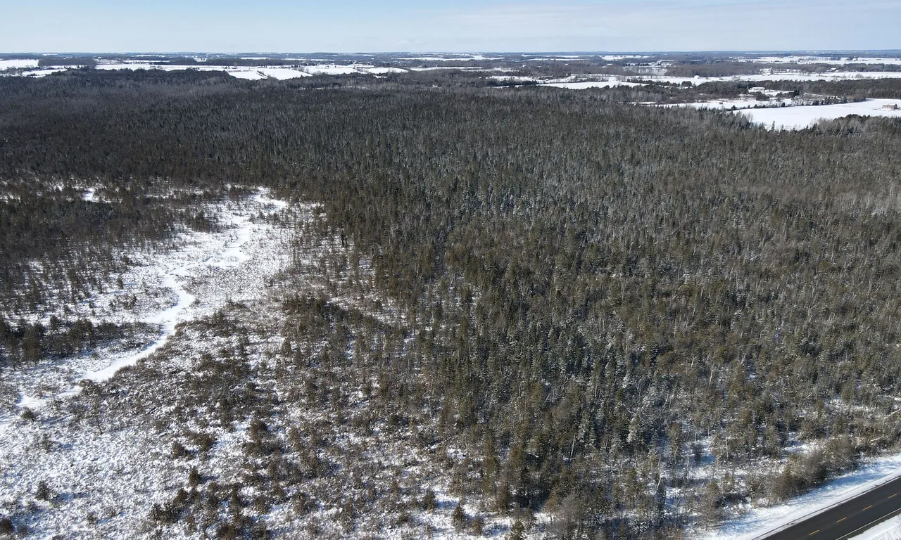 Lot 14 Killarney Bay Rd, Kawartha Lakes, ON K0M 1G0