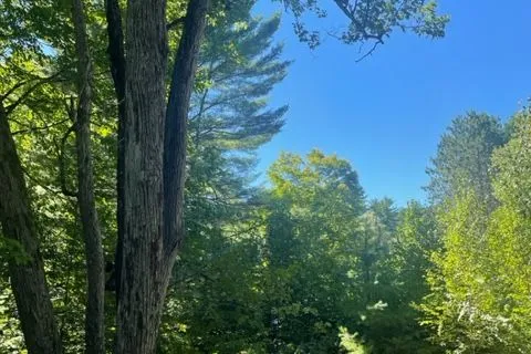 Lt 33 Benson Boulevard, Kawartha Lakes, ON K0M 1K0