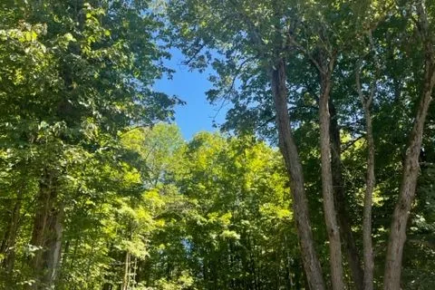 Lt 33 Benson Boulevard, Kawartha Lakes, ON K0M 1K0