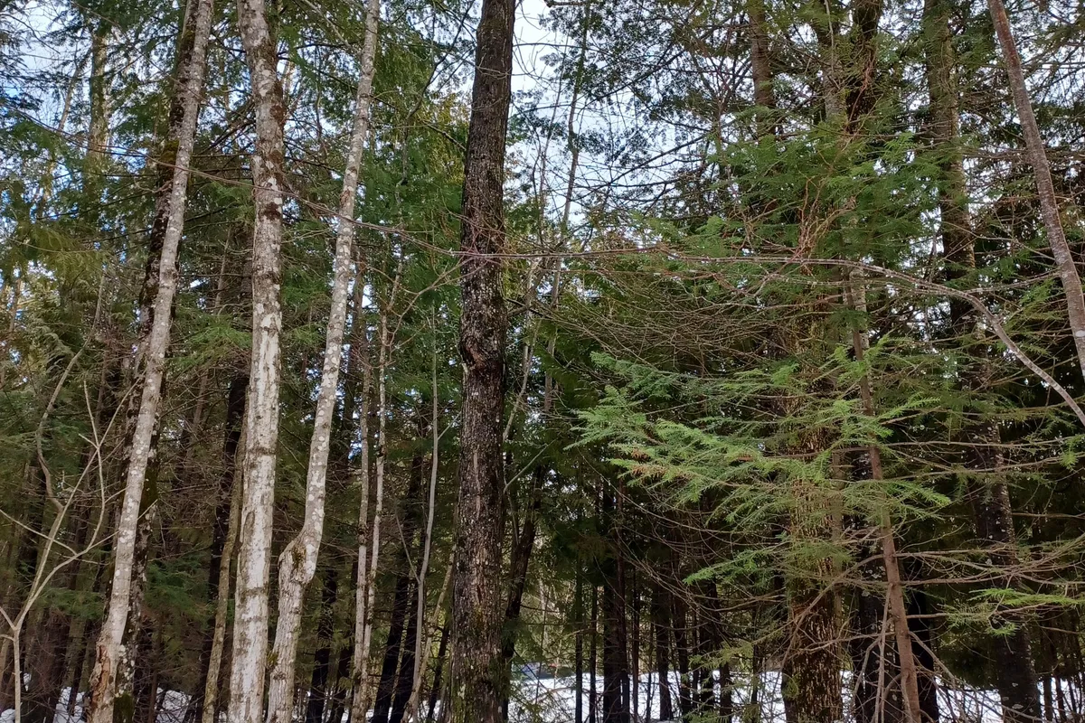 382309 Concession 17 N/A, ON N0H 2T0