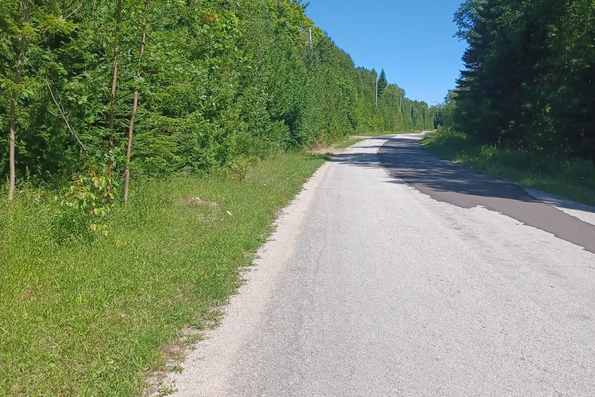 382309 Concession 17 N/A, ON N0H 2T0