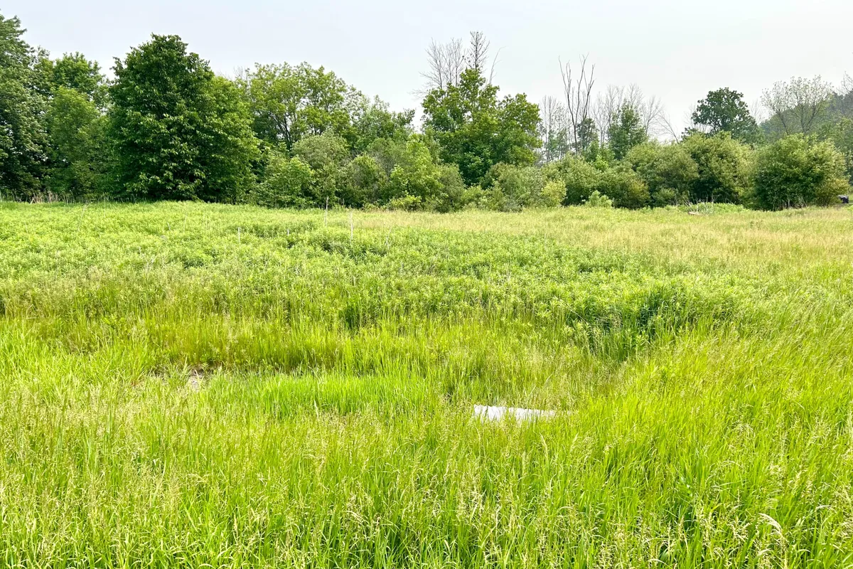 11880 County Road 18 Road, South Dundas, ON K0C 2H0