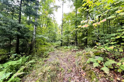 75 GRANITE Drive, Huntsville, ON P0A 1R0