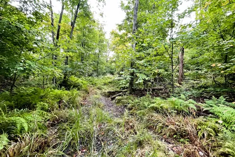 75 GRANITE Drive, Huntsville, ON P0A 1R0