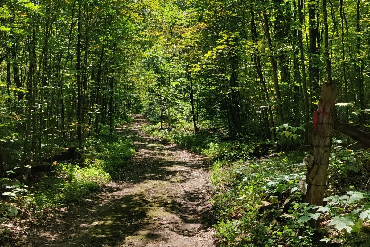 0East2 Road allowance Road, Havelock-Belmont-Methuen, ON K0L 1Z0