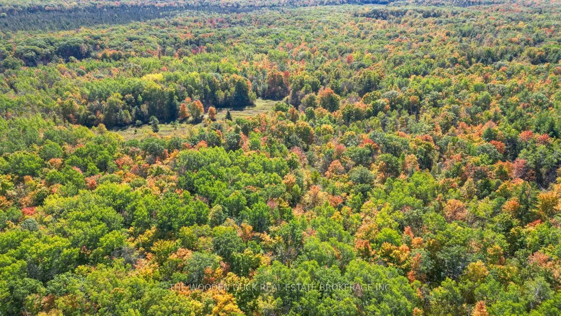 0East2 Road allowance Road, Havelock-Belmont-Methuen, ON K0L 1Z0