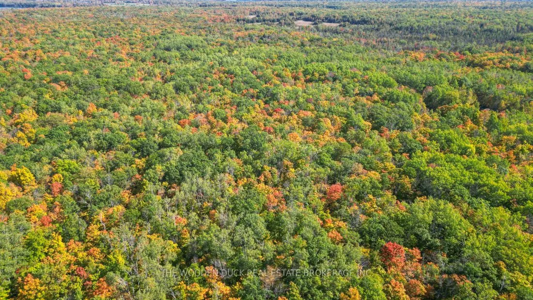 0East2 Road allowance Road, Havelock-Belmont-Methuen, ON K0L 1Z0