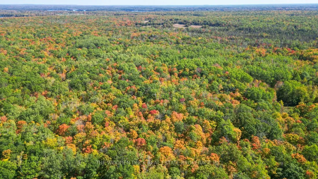 0East1 Road Allowance Road, Havelock-Belmont-Methuen, ON K0L 1Z0