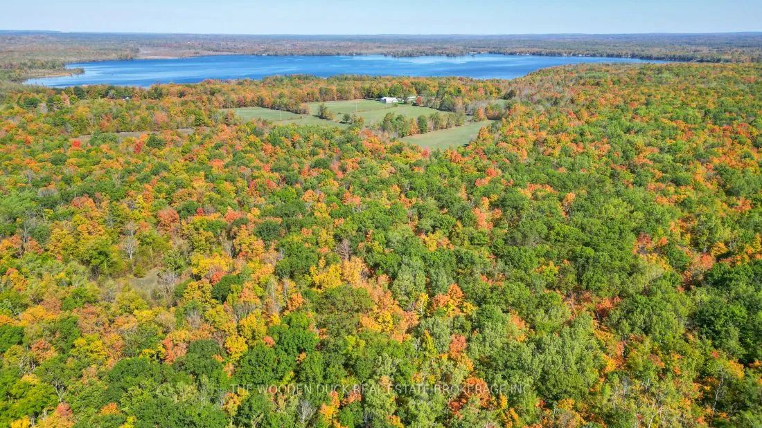 0East1 Road Allowance Road, Havelock-Belmont-Methuen, ON K0L 1Z0