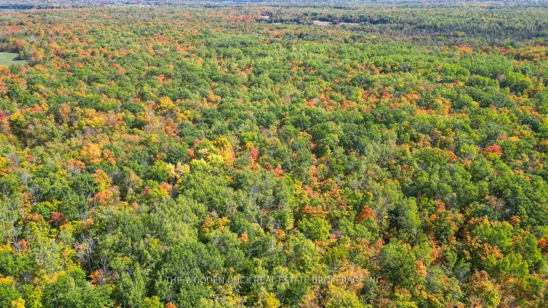 0East1 Road Allowance Road, Havelock-Belmont-Methuen, ON K0L 1Z0