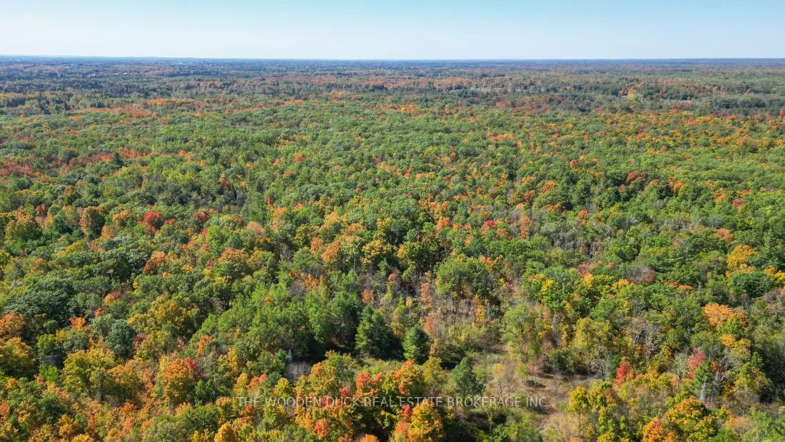 0West Road Allowance Road, Havelock-Belmont-Methuen, ON K0L 1Z0