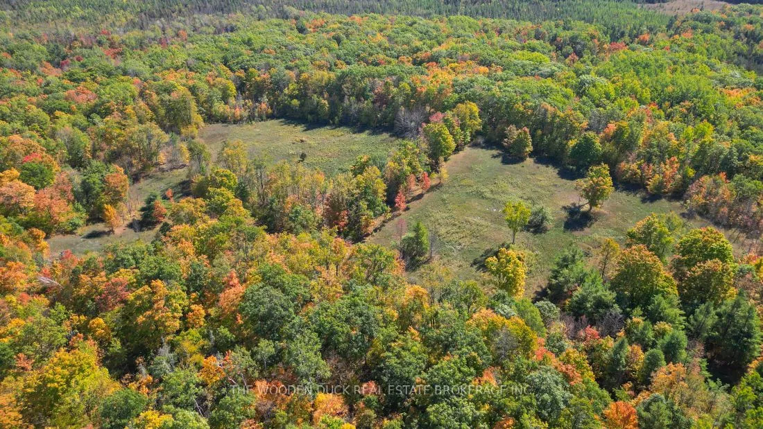 0West Road Allowance Road, Havelock-Belmont-Methuen, ON K0L 1Z0