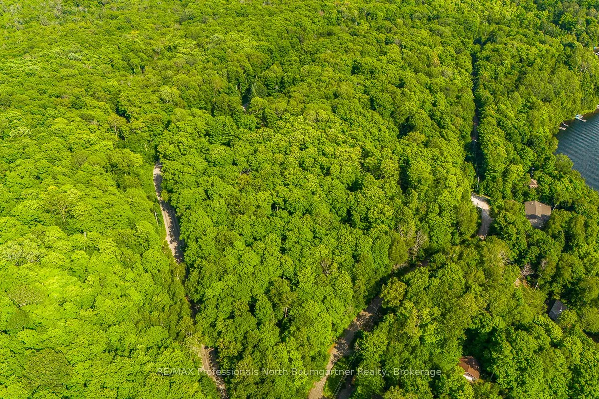 LT 51 WENONA LAKE Road, Dysart et al, ON K0M 1S0