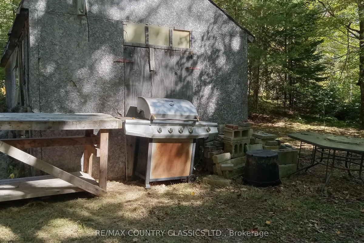 1703 Boulter Road, Carlow/Mayo, ON K0L 2R0