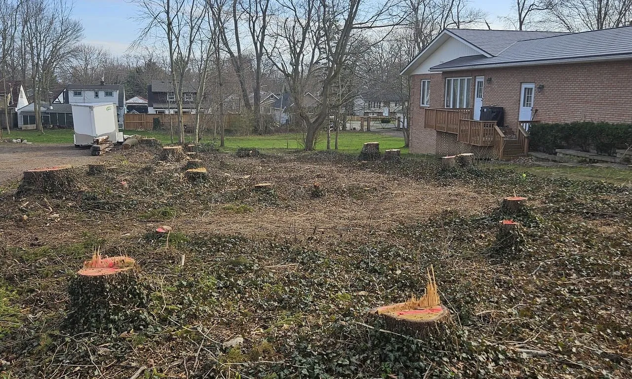 3967 Rebstock Rd, Fort Erie, ON L0S 1B0