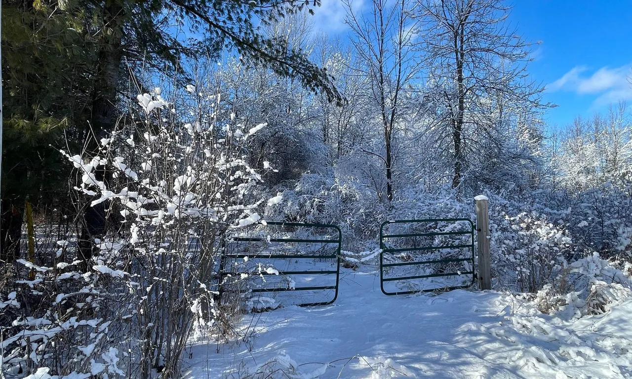 635 Lake St, Rideau Lakes, ON K0E 1G0