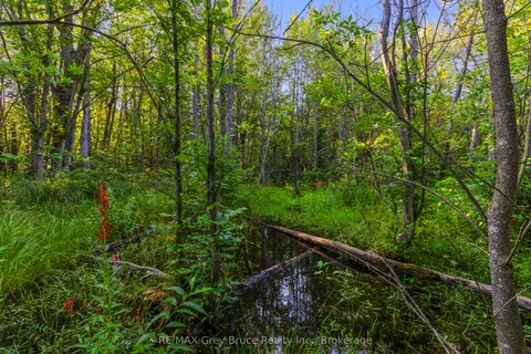 PT 9/10 Highway 6 N/A, ON N0H 1Z0