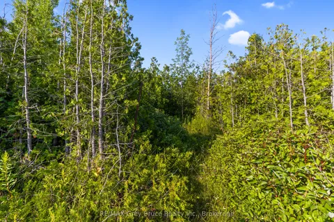 Part 10 Highway 6 N/A, ON N0H 1Z0