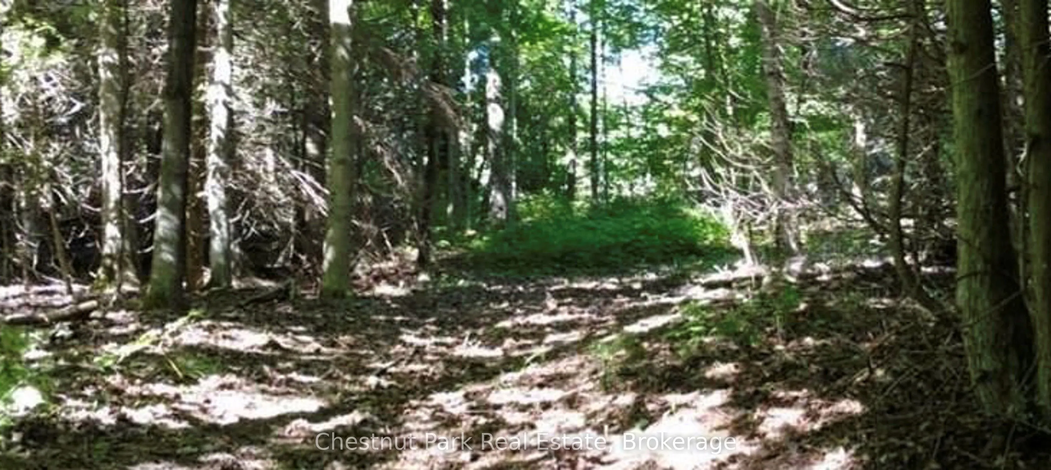 LT 11 CONCESSION 4 EBR N/A, ON N0H 1W0