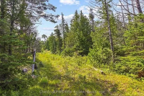 205 EAST Road, Northern Bruce Peninsula, ON N0H 1W0