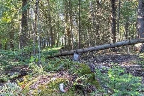 205 EAST Road, Northern Bruce Peninsula, ON N0H 1W0