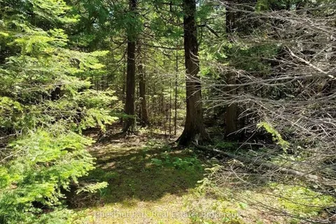 205 EAST Road, Northern Bruce Peninsula, ON N0H 1W0